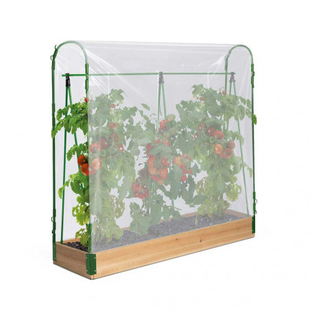 Vegetable greenhouse with tarp