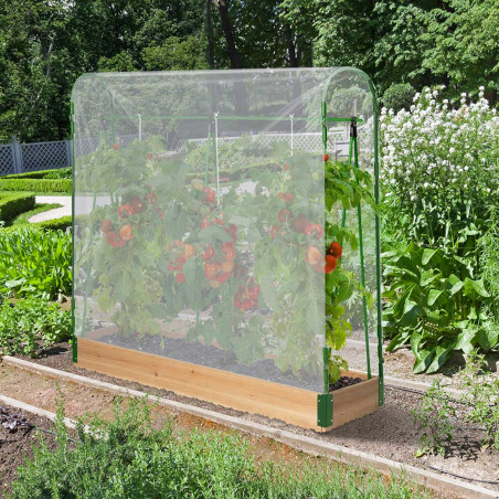 Vegetable greenhouse with tarp