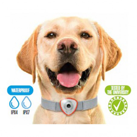 Electronic tick and flea repellent for dogs/cats