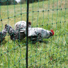Nicht elektrifizierbares Netz für Hühner